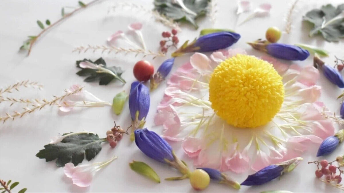 黄色い花を中心に、花びらや葉が円形に並べられた植物のアート